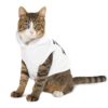 Rottie Security Pet Hoodie - Rottweiler Lover Tee for Dog Mom and Dad